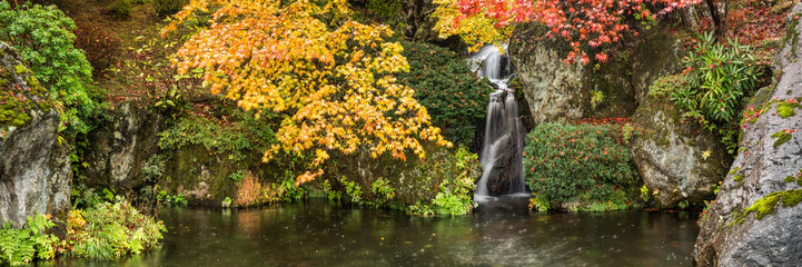 Wall Mural - panorama of a japanese garden in autumn with waterfall and colorful maple leaves