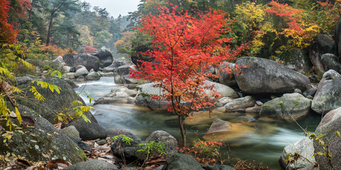 Wall Mural - shosenkyo gorge national park in autumn season, kofu, yamanashi prefecture, japan