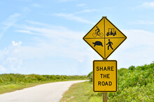 Yellow Share The Road Sign With Bicycles, Golf Carts, Turtles, And Pedestrians 