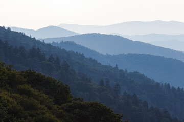 Wall Mural - Newfound Gap area in the Great Smoky Mountains