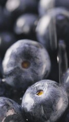 Wall Mural - Rinsing Fresh Blueberries