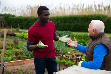 Wall Mural - Elderly man and adult african-american man talking of the garden plot. High quality photo