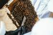 pszczelarstwo pszczoły miód natura