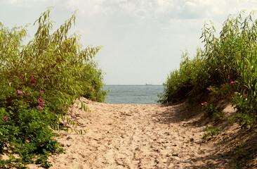 Wall Mural - Morning on the shore of the Baltic Sea	