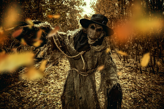 damn evil scarecrow
