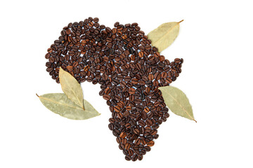 African continent shape made of coffee beans and bay leaves isolated on white background