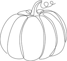 Line Drawing Pumpkin Autumn