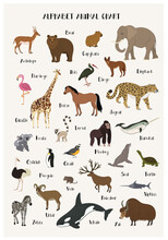 Alphabet Animal Chart Set Isolated Vector Illustration. ABC For Kids Education In Preschool. Zoo Animal Alphabet Chart With Panda, Urial, Vole, Reindeer, Narwhal, Dingo, Seal, Ibis, Zebra, Penguin.