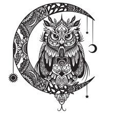 Owl And Moon. Hand Drawn Sketch Illustration For Adult Coloring Book