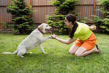 Happy Woman With Dog At Back Yard