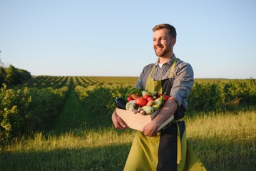 Wall Mural - farmer holding a crate of bio vegetables in the farm. Happy man showing box of harvested vegetables.