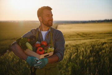 Wall Mural - farmer carrying box of picked vegetables