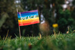 © Westend61 - Peace flag on meadow at park