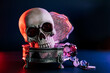 Human skull and treasure in copper vintage box in neon red and blue light on dark background. Pirate treasure, treasure seekers concept . Selective focus, copy space.