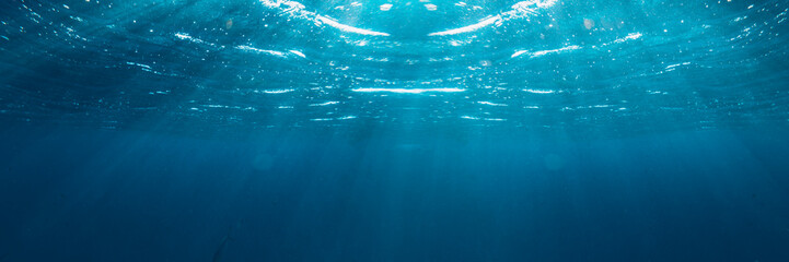 Underwater coral reef on the red sea