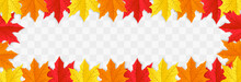 Abstract Autumn Panorama With Colorful Leaves On Transparent Background. Yellow Foliage Collection. Vector Illustration. Fall Flying Leaves Png, Autumn Nature Vector Design Elements For Decoration.