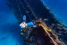 Man Swimming Amidst School Of Fish And Shipwreck In Sea