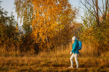 Wall Mural - woman hiking in autumn nature. tourist with backpack walks in forest