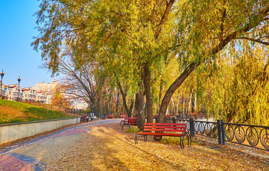 Canvas Print - The autumn park on Obolon, Kyiv, Ukraine