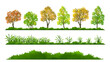 Different trees, bush and grass cartoon elements vector illustration