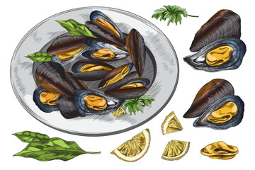 Mussels delicious restaurant meal hand drawn sketch vector illustration isolated.