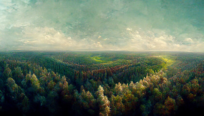 Wall Mural - Aerial view of green forest on the mountain with sky background.