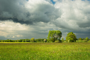 Cloudy sky over a green rural landscape