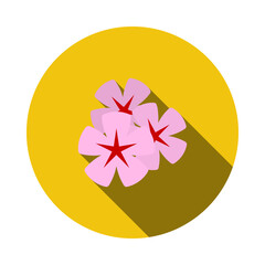 Poster - Frangipani Flower Icon