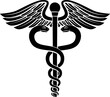 canvas print picture - Caduceus symbol of two snakes intertwined around a winged rod. Associated with healing and medicine. 