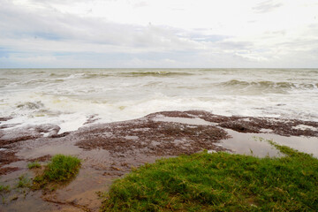 Wall Mural - waves on the beach