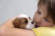 Boy holding a puppy Cavalier King Charles Spaniel Blenheim. Close up portrait of Cute dog puppy. Copy space