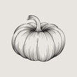 Pumpkin. Sketch in graphic style. Hand-drawn vector illustration. Retro style. Autumn pumpkin harvest.