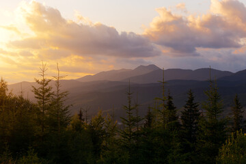 Wall Mural - foggy evening landscape in Carpathian Mountains, Ukraine.