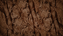 Dark Brown Rock Texture. Rough Mountain Surface With Cracks. Close-up. Stone Background With Space For Design.