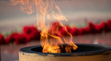 Eternal Flame, Flames Of Fire On A Blurred Background Of Flowers