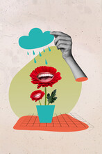 Image Magazine Collage Of Laughing Flowers Daisy Enjoying Rainstorm Rain Falling Isolated Paint Background
