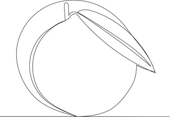 Wall Mural - peach drawing one continuous line vector