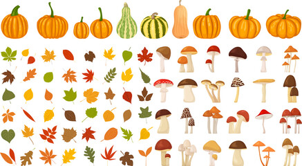 Wall Mural - collection of leaves, pumpkins, mushrooms set in flat style, isolated, vector