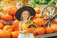 Child Girl Als Little Cute Witch With Pumpkin Outdoors At A Farm Fair