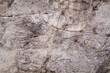 Natural stone in detail background