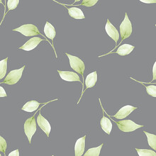 Seamless Pattern With Watercolor Leaves, Repeat Floral Texture, Background Hand Drawing. Perfectly For Wrapping Paper, Wallpaper, Fabric, Texture And Other Printing.