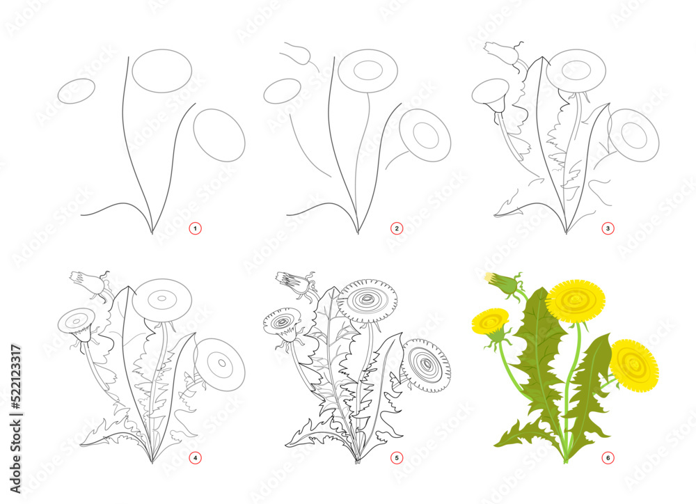 Page shows how to learn to draw step by step toy dandelion. Developing ...