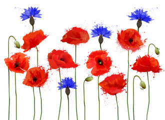 Poster - Abstract beautiful background with red poppies and blue cornflowers. Vector.