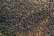 Black Pepper Seeds Pattern, Background
