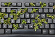 © Yaroslav Danylchenko/Stocksy - Plants growing out of computer keyboard