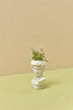 Greek Statue Flower Pot