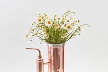 Alembic Apparatus For Distilling Essential Oil