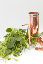 Distilling Apparatus With Linden Leaves