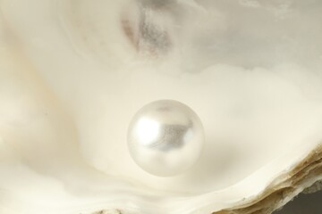 Canvas Print - Open oyster with white pearl, closeup view