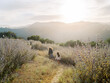 © Daniel Kim Photography/Stocksy - Mom and daughter on beautiful hiking trail